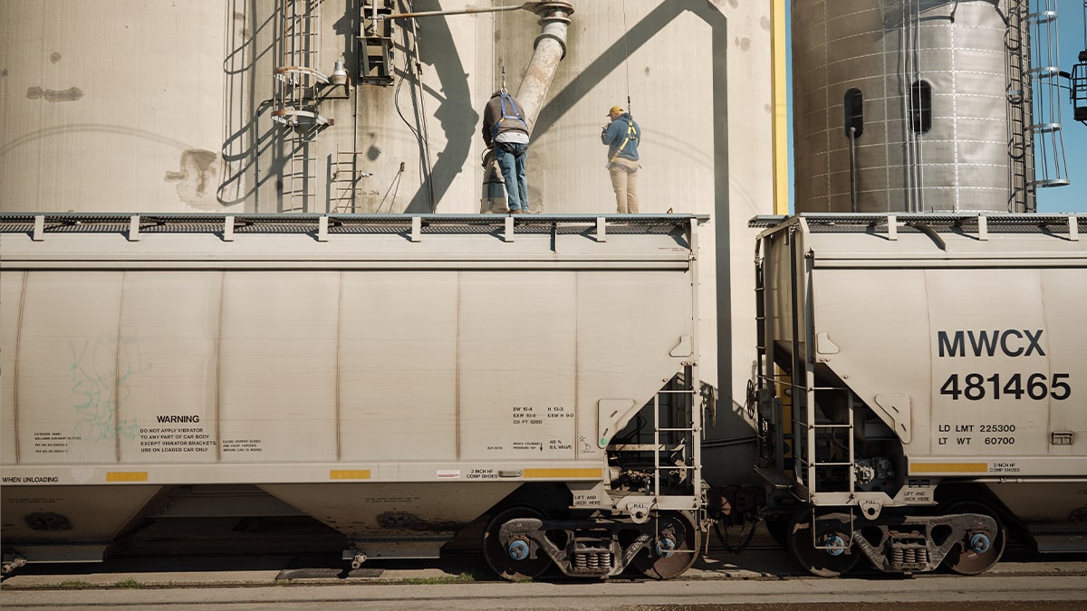 A train car getting loaded with grain at an elevator